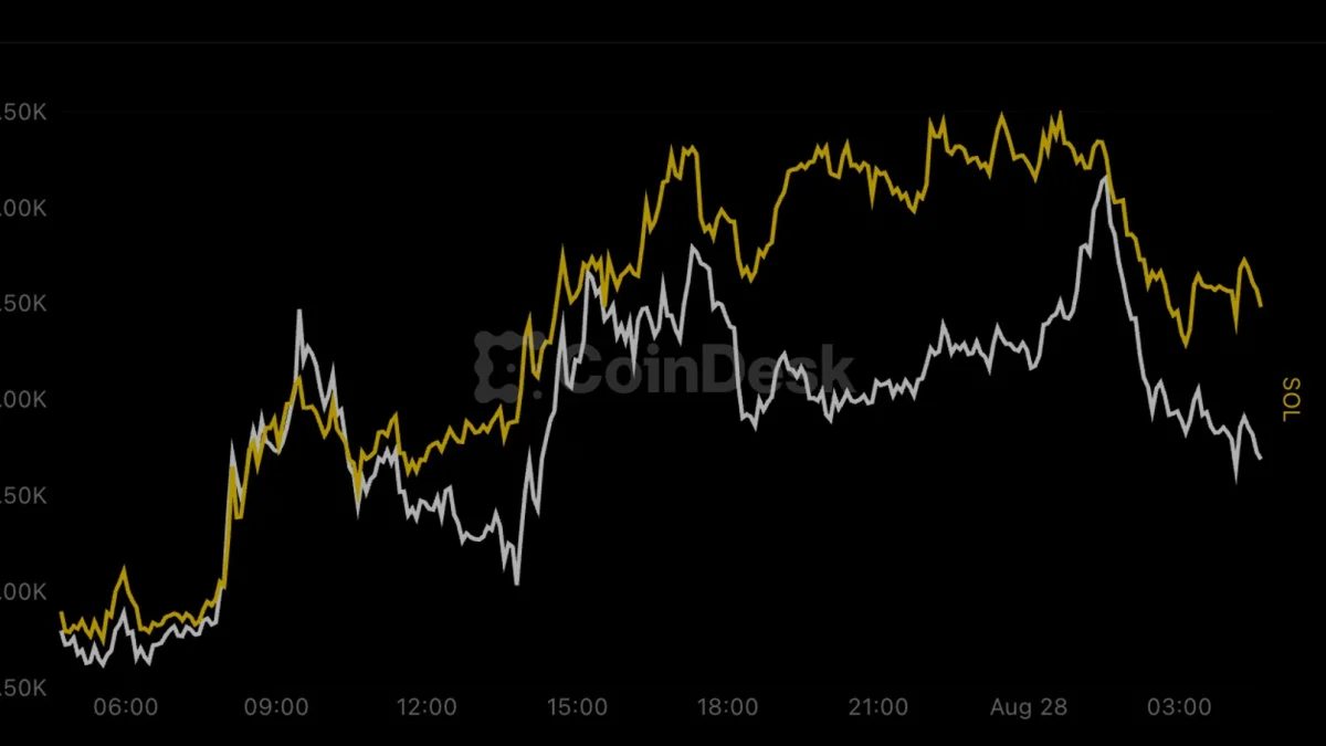 Bitcoin 81 Bin Doları Aştıktan Sonra Geri Çekildi