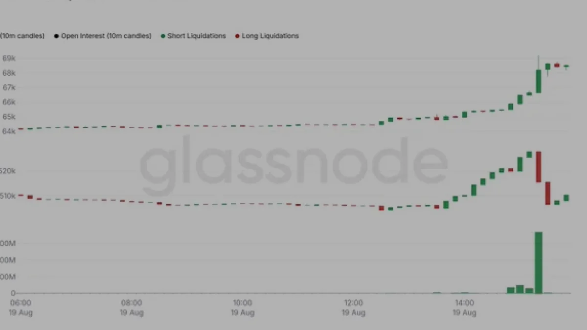 Glassnode Verileri Bitcoin Yükselişindeki Short Tasfiyesini Doğruladı