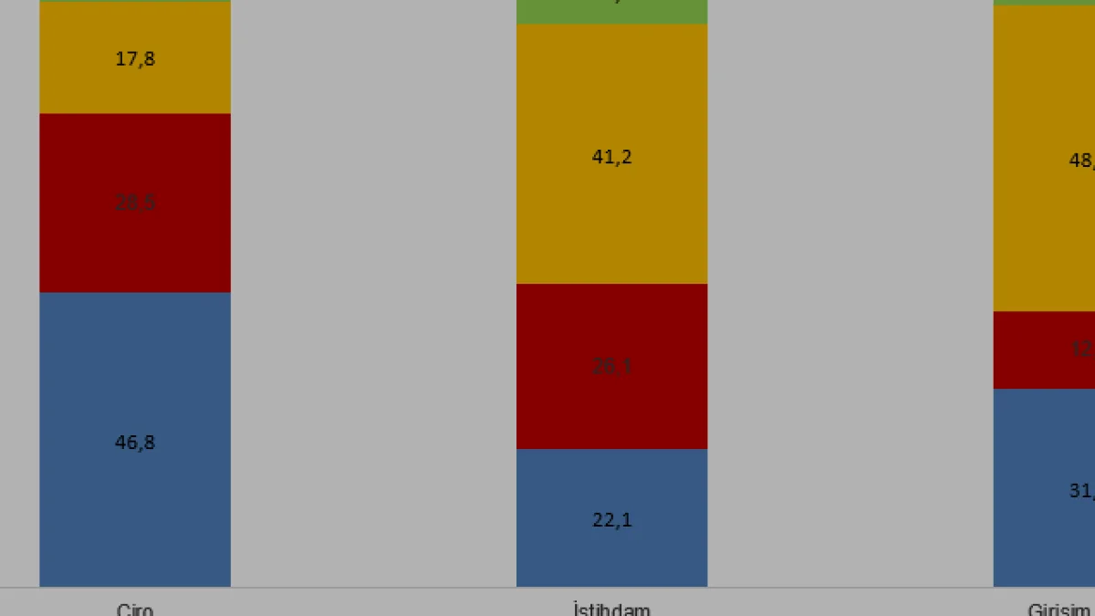 TÜİK 2025 Sanayi ve Hizmet İstatistiklerini Açıkladı
