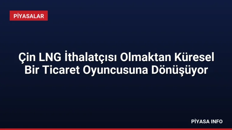 Çin LNG İthalatçısı Olmaktan Küresel Bir Ticaret Oyuncusuna Dönüşüyor