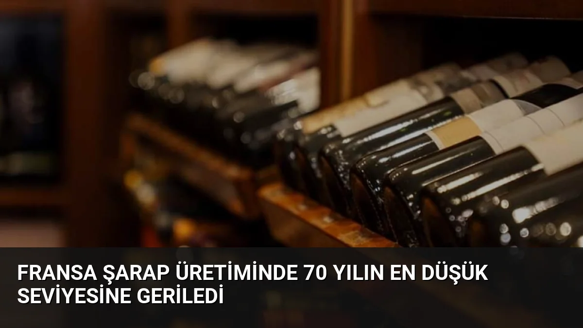 Fransa Şarap Üretiminde 70 Yılın En Düşük Seviyesine Geriledi