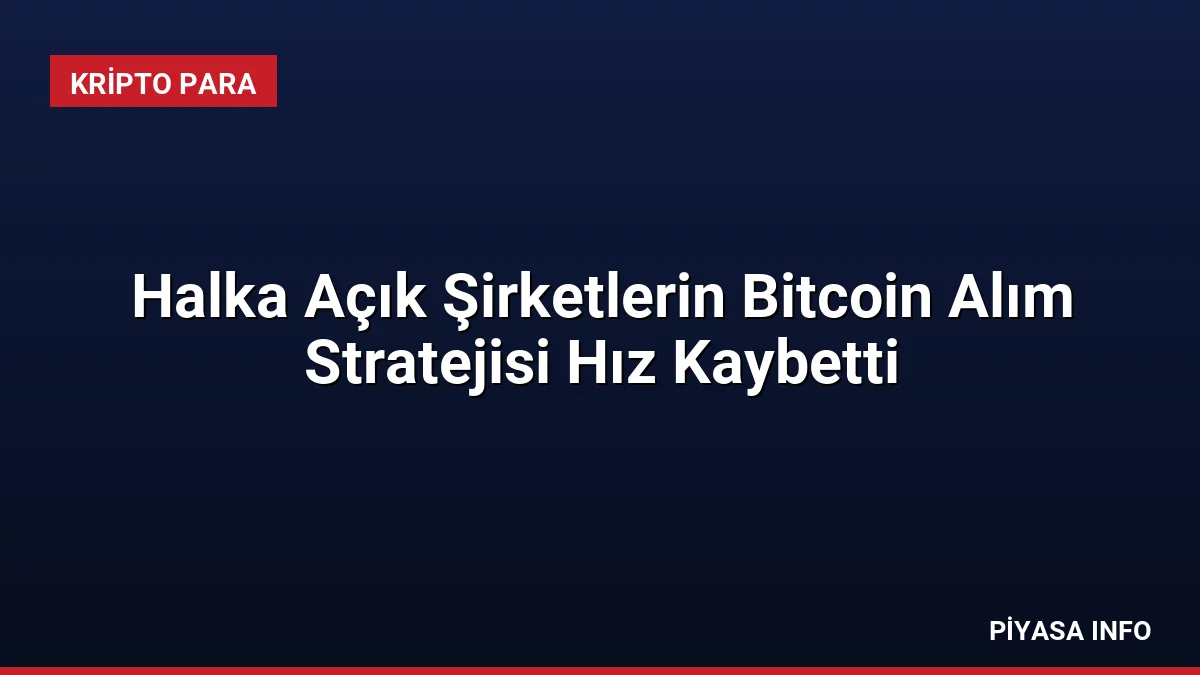 Halka Açık Şirketlerin Bitcoin Alım Stratejisi Hız Kaybetti