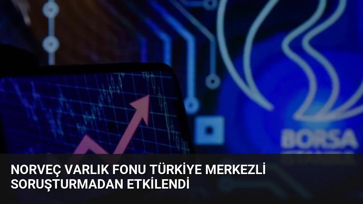 Norveç Varlık Fonu Türkiye Merkezli Soruşturmadan Etkilendi