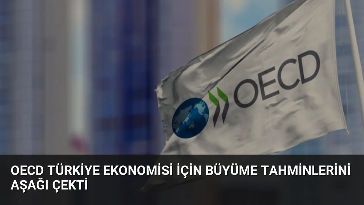 OECD Türkiye ekonomisi için büyüme tahminlerini aşağı çekti