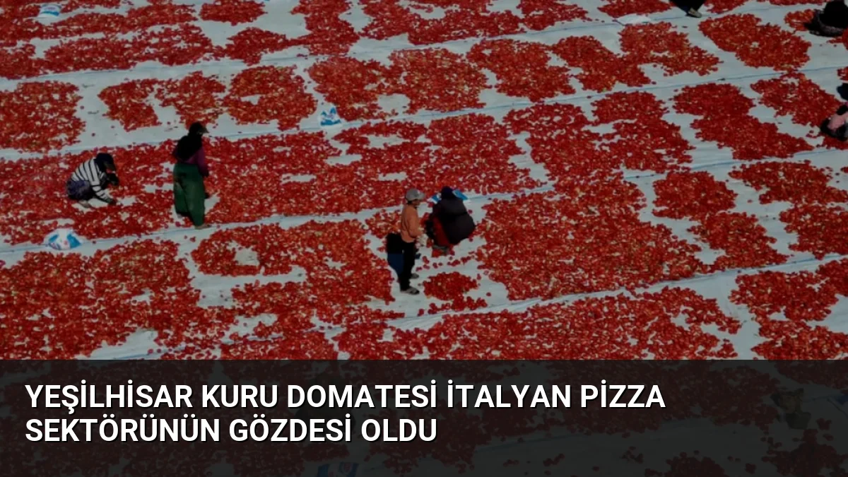 Yeşilhisar Kuru Domatesi İtalyan Pizza Sektörünün Gözdesi Oldu