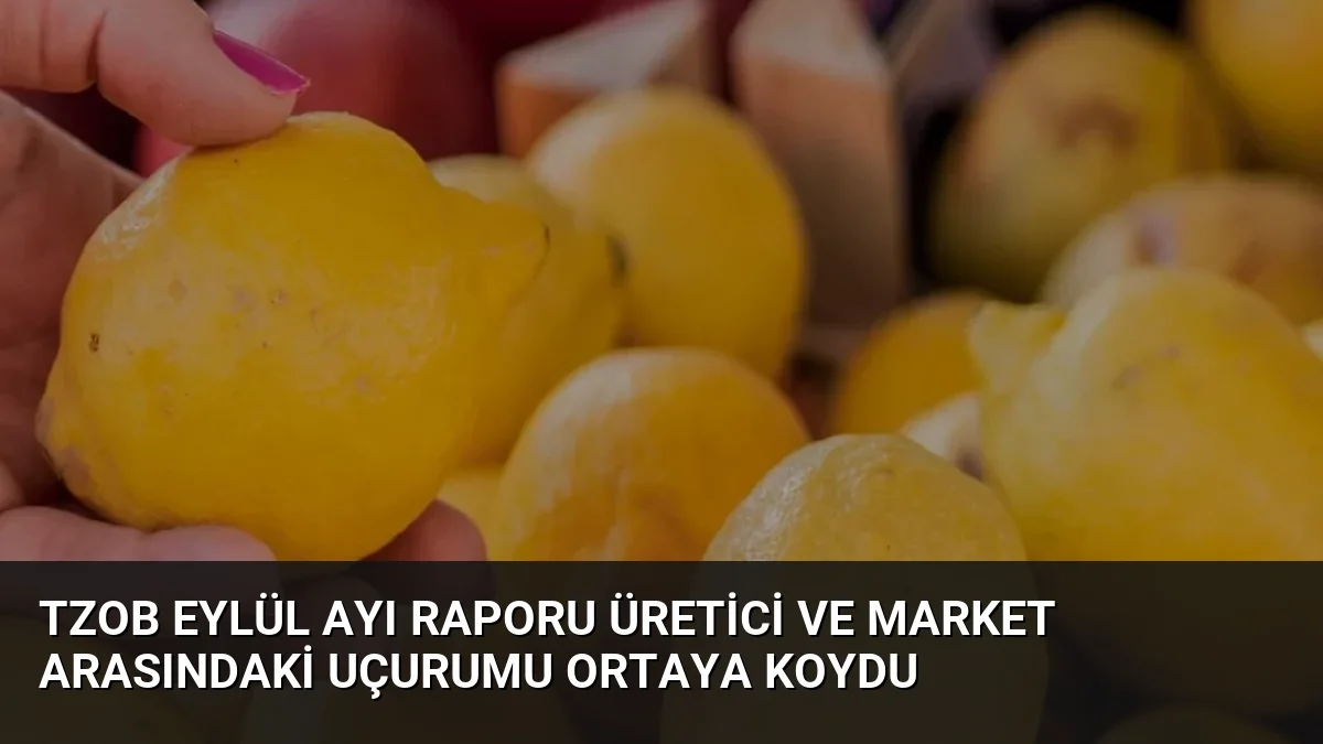 TZOB Eylül Ayı Raporu Üretici ve Market Arasındaki Uçurumu Ortaya Koydu
